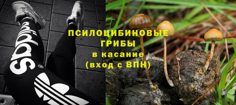 Галлюциногенные грибы MAGIC MUSHROOMS  наркотики  Павлово 